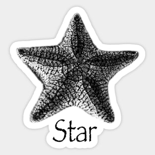 Star. Pretty starfish design Sticker